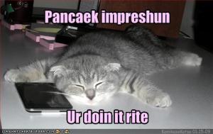 funny-pictures-cat-does-a-pancake-impression